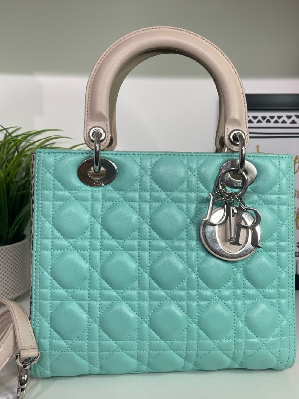 Dior Quilted Lady Dior Medium Python Silver Hardware